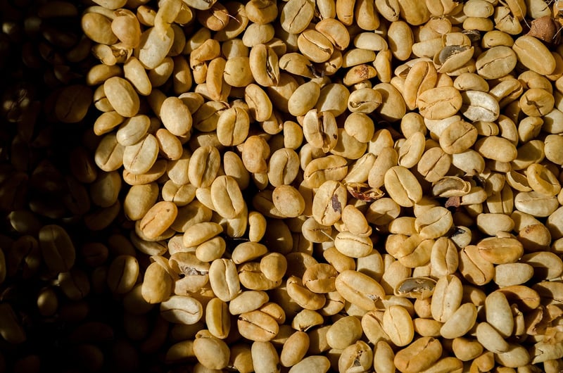 Sustainable food production