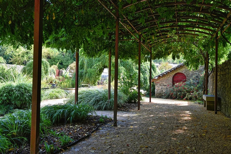 Arbor